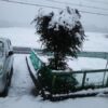 島崎 光典 - 昨日までの晴天が嘘のような湿った雪が降ってます。三寒四温ですね。今朝